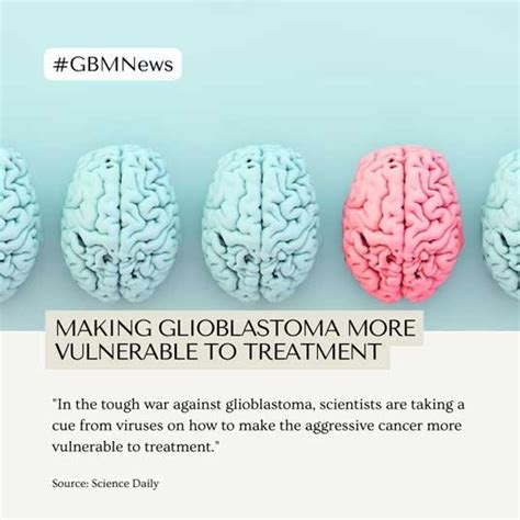 glioblastoma research donation organizations